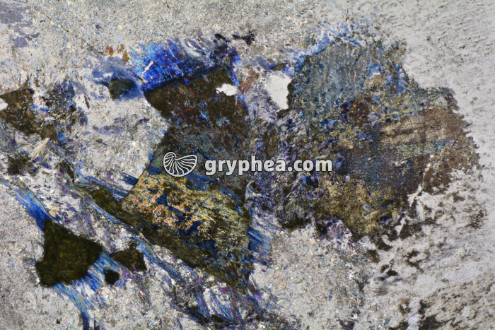 Métagabbro à glaucophane LPA x3,5 - gryphea.com